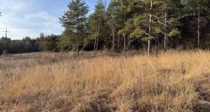 Tallard Terrain à bâtir - 2399232-11714annonce1202601205vglk.jpeg Maisons Open