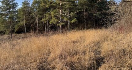 Tallard Terrain à bâtir - 2399221-11714annonce120260120wALdW.jpeg Maisons Open