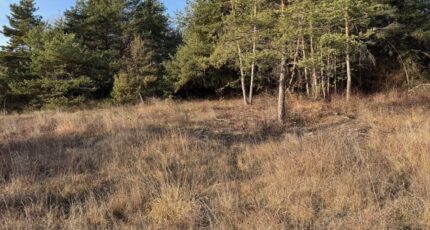 Tallard Terrain à bâtir - 2399286-11714annonce120260120uh6ck.jpeg Maisons Open