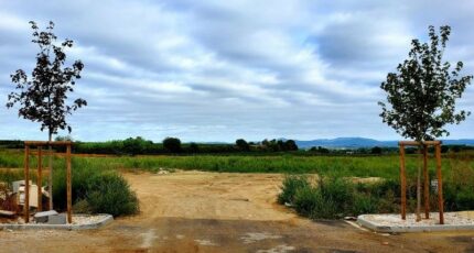 Montagnac Terrain à bâtir - 2399737-3243annonce120241002KcpCk.jpeg Maisons Open