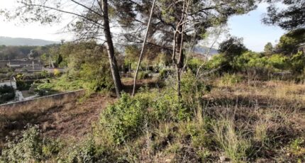 Draguignan Terrain à bâtir - 2399976-10295annonce32026012162qok.jpeg Maisons Open