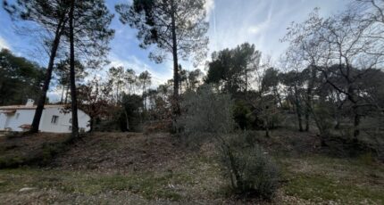 Salernes Terrain à bâtir - 2399974-11723annonce220260121iaENd.jpeg Maisons Open