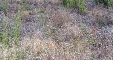 Cabestany Terrain à bâtir - 2400084-4671annonce120260121zouOz.jpeg Maisons Open