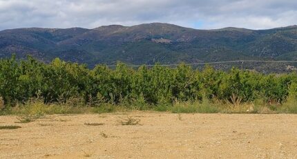 Los Masos Terrain à bâtir - 2400169-4671annonce1202601210WN8b.jpeg Maisons Open