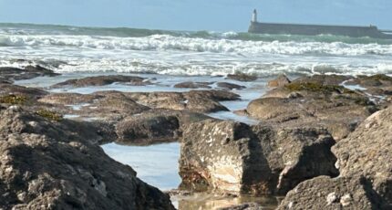 Château-d'Olonne Terrain à bâtir - 2400506-10920annonce4202601210keow.jpeg Maisons Open