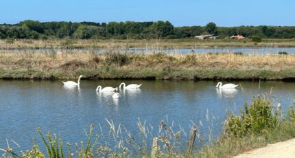 L'Île-d'Olonne Terrain à bâtir - 2400662-10920annonce320260121LNO48.jpeg Maisons Open
