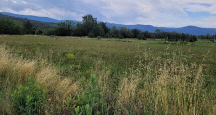 Espira-de-Conflent Terrain à bâtir - 2400544-4671annonce120260121edK2y.jpeg Maisons Open