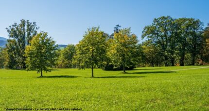 Ollainville Terrain à bâtir - 2400729-4684annonce120260121uaRSE.jpeg Maisons Open