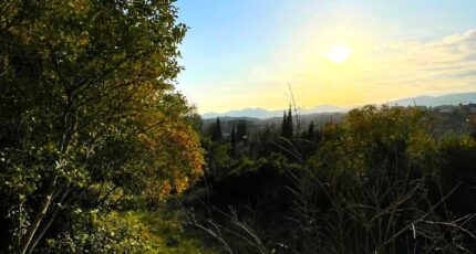 Mougins Terrain à bâtir - 2400918-11719annonce120260121hEZii.jpeg Maisons Open