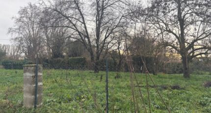 Mirepoix-sur-Tarn Terrain à bâtir - 2400256-11356annonce3202601210C7WK.jpeg Maisons Open