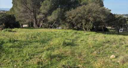 Fréjus Terrain à bâtir - 2401645-5826annonce1202601224deJm.jpeg Maisons Open