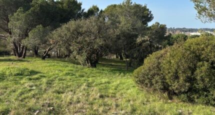 Fréjus Terrain à bâtir - 2401645-5826annonce220260122NzCNh.jpeg Maisons Open