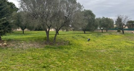 Roquebrune-sur-Argens Terrain à bâtir - 2401690-3951annonce120260122TCfN5.jpeg Maisons Open