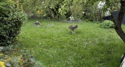 Solesmes Terrain à bâtir - 2368746-7246annonce1202512150g6yn.jpeg Maisons Open