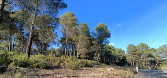 Terrain à bâtir à Salernes, Provence-Alpes-Côte d'Azur