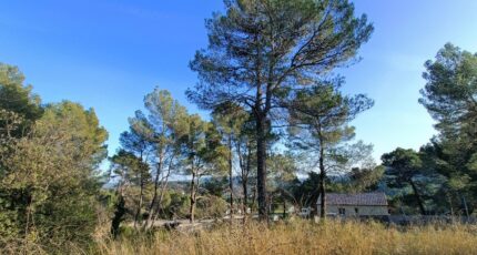 Salernes Terrain à bâtir - 2402362-9911annonce320260122OuU9E.jpeg Maisons Open