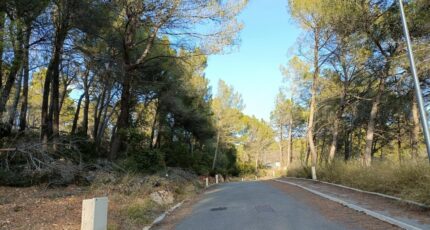 Salernes Terrain à bâtir - 2402362-9911annonce420260122Iqize.jpeg Maisons Open