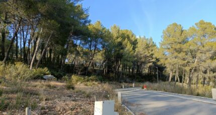 Salernes Terrain à bâtir - 2402362-9911annonce520260122hmPco.jpeg Maisons Open