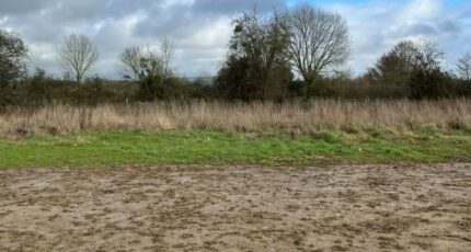 Cerisé Terrain à bâtir - 2403082-3704annonce120260122ui7Z7.jpeg Maisons Open