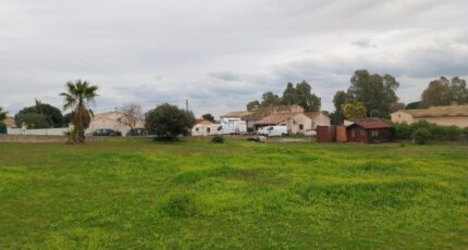 Roquebrune-sur-Argens Terrain à bâtir - 2403037-11157annonce220260122OFVGy.jpeg Maisons Open