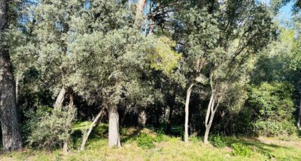 Ollioules Terrain à bâtir - 2403615-4866annonce1202601234QWHx.jpeg Maisons Open