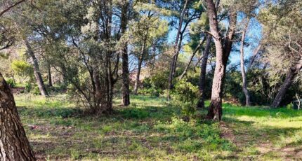 Ollioules Terrain à bâtir - 2403615-4866annonce220260123Ecaxe.jpeg Maisons Open