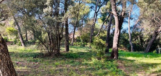 Terrain à bâtir à , Var