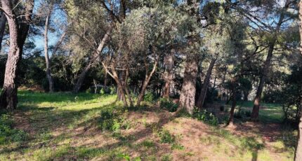 Ollioules Terrain à bâtir - 2403668-4866annonce220260123H8bep.jpeg Maisons Open