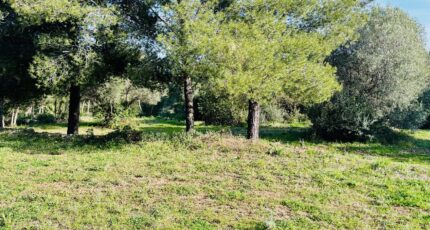 Ollioules Terrain à bâtir - 2403512-4866annonce120260123xQVJv.jpeg Maisons Open