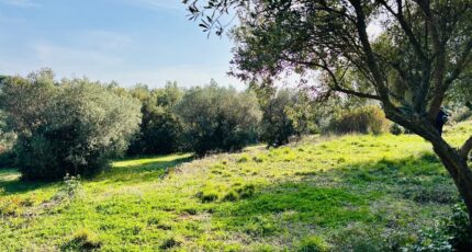 Ollioules Terrain à bâtir - 2403512-4866annonce220260123pRn6o.jpeg Maisons Open