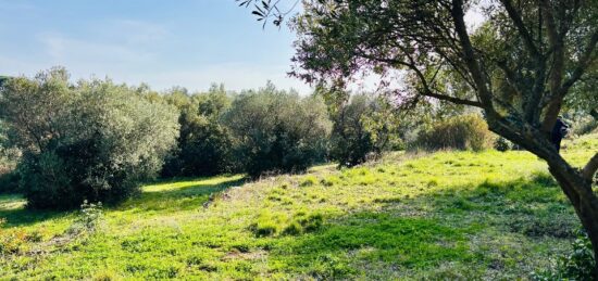 Terrain à bâtir à , Var