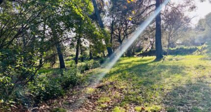 Ollioules Terrain à bâtir - 2403512-4866annonce520260123TvrFZ.jpeg Maisons Open