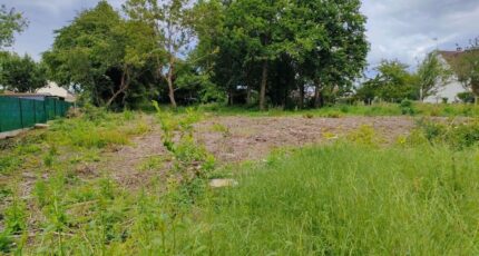 Mortcerf Terrain à bâtir - 2339385-10844annonce1202511158L3eM.jpeg Maisons Open