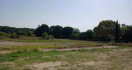 Aubais Terrain à bâtir - 2404034-11040annonce120260123v0TJb.jpeg Maisons Open