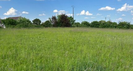 Nemours Terrain à bâtir - 2403694-11705annonce420260123psZ4r.jpeg Maisons Open