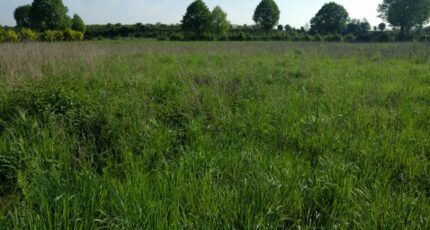 Obsonville Terrain à bâtir - 2403588-11705annonce3202601231q2B7.jpeg Maisons Open