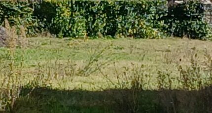 Congénies Terrain à bâtir - 2404230-11040annonce120260123s8QmJ.jpeg Maisons Open