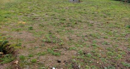 Plaisance-du-Touch Terrain à bâtir - 2403612-9555annonce120260123uDbTX.jpeg Maisons Open