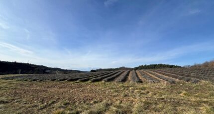 Roumoules Terrain à bâtir - 2405472-2970annonce2202602244qTXV.jpeg Maisons Open