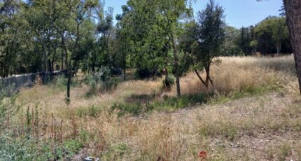 Cournonsec Terrain à bâtir - 2407024-11040annonce1202601267TlXu.jpeg Maisons Open