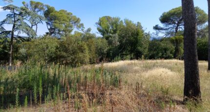 Cournonsec Terrain à bâtir - 2407038-11040annonce120260126JXaM0.jpeg Maisons Open