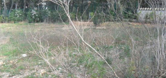 Terrain à bâtir à Saint-Théodorit, Occitanie