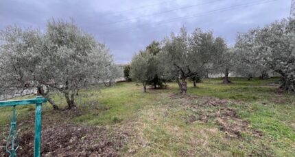 Manosque Terrain à bâtir - 2407763-2970annonce1202602241gcJS.jpeg Maisons Open