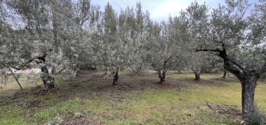 Terrain à bâtir à , Alpes-de-Haute-Provence