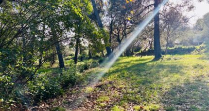 Ollioules Terrain à bâtir - 2408167-9707annonce120260127fboED.jpeg Maisons Open