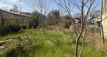 Beaumont-lès-Valence Terrain à bâtir - 2408631-812annonce420260127WUSc6.jpeg Maisons Open