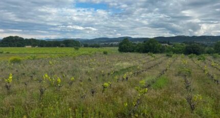 Sabran Terrain à bâtir - 2409253-3418annonce120251006fK0g6.jpeg Maisons Open