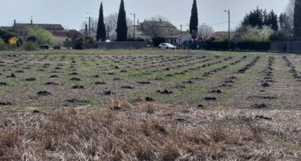 Camaret-sur-Aigues Terrain à bâtir - 2409296-3418annonce320230907gpRS3.jpeg Maisons Open