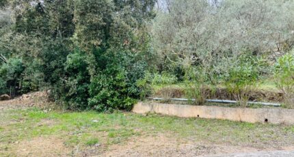 Pignans Terrain à bâtir - 2409191-9707annonce520260127wff0P.jpeg Maisons Open