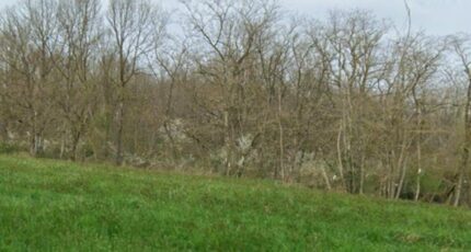 Gratens Terrain à bâtir - 2405428-6043annonce120260124XfZSm.jpeg Maisons Open